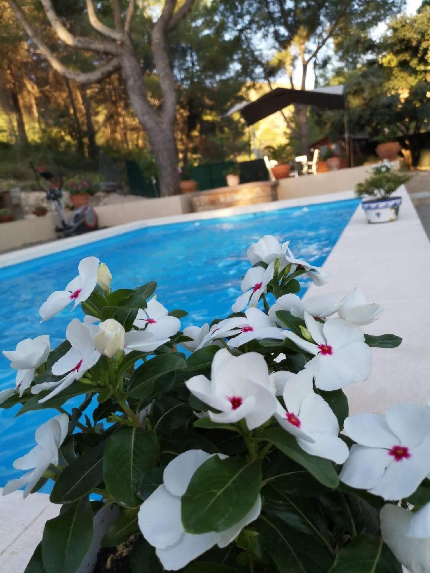 Casa Jetizo Bed & Breakfast Ontinyent Dış mekan fotoğraf