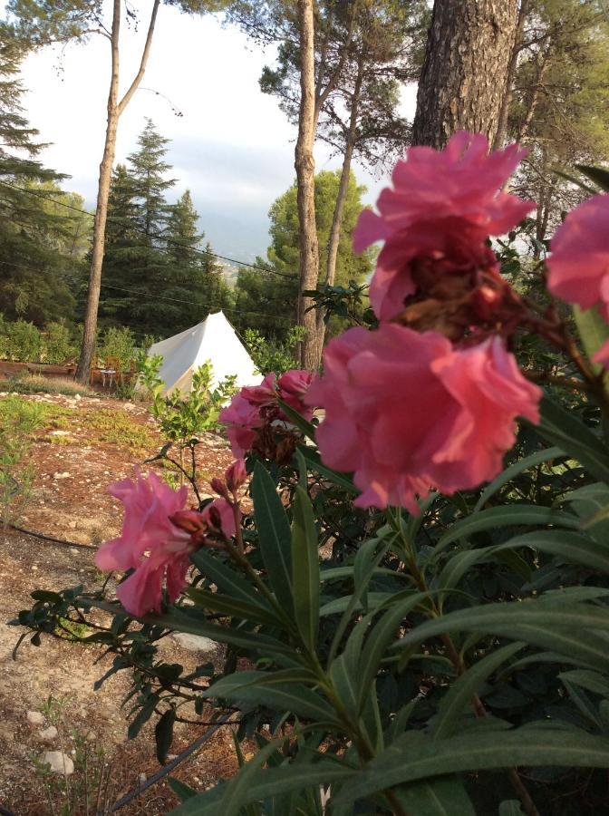 Casa Jetizo Bed & Breakfast Ontinyent Dış mekan fotoğraf