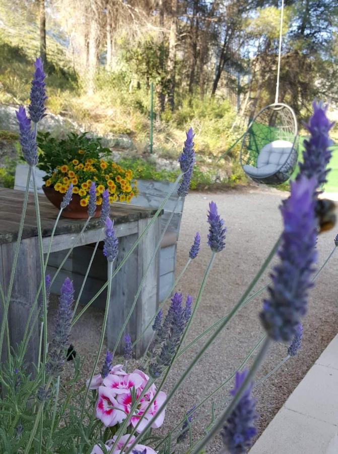 Casa Jetizo Bed & Breakfast Ontinyent Dış mekan fotoğraf