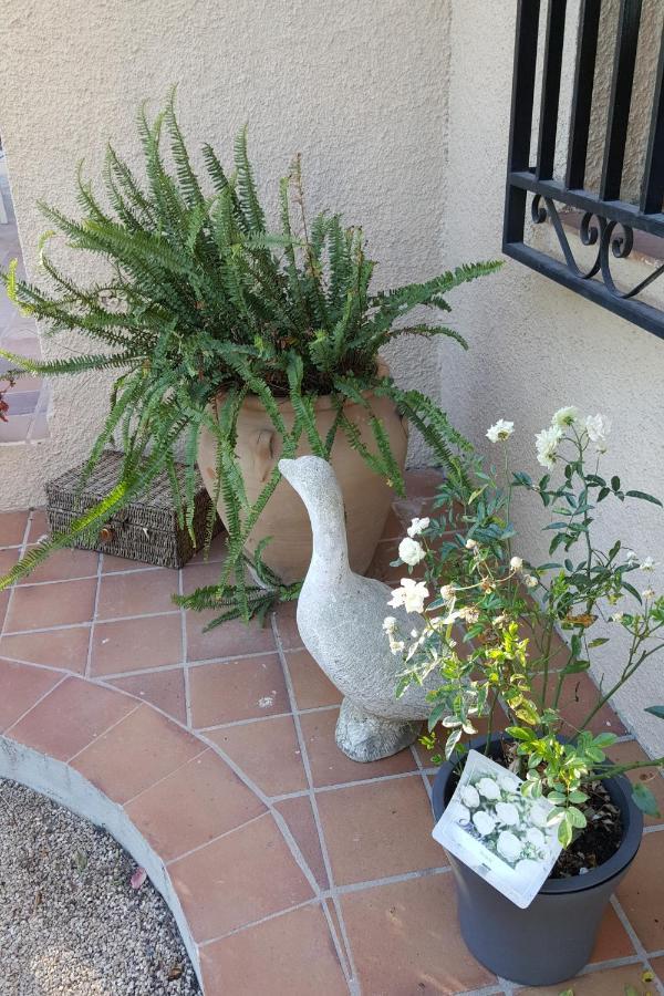Casa Jetizo Bed & Breakfast Ontinyent Dış mekan fotoğraf