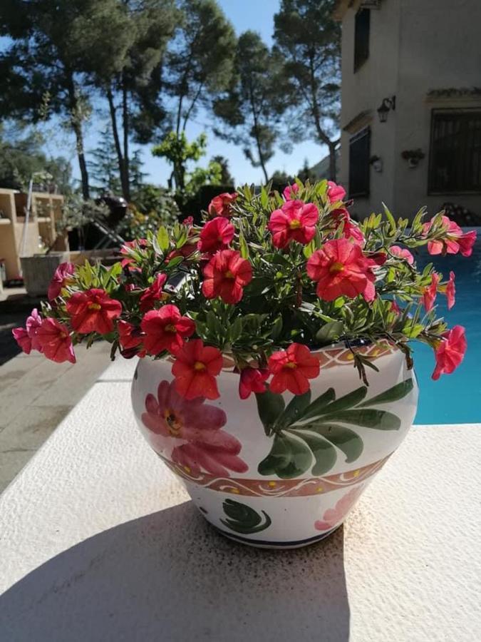 Casa Jetizo Bed & Breakfast Ontinyent Dış mekan fotoğraf